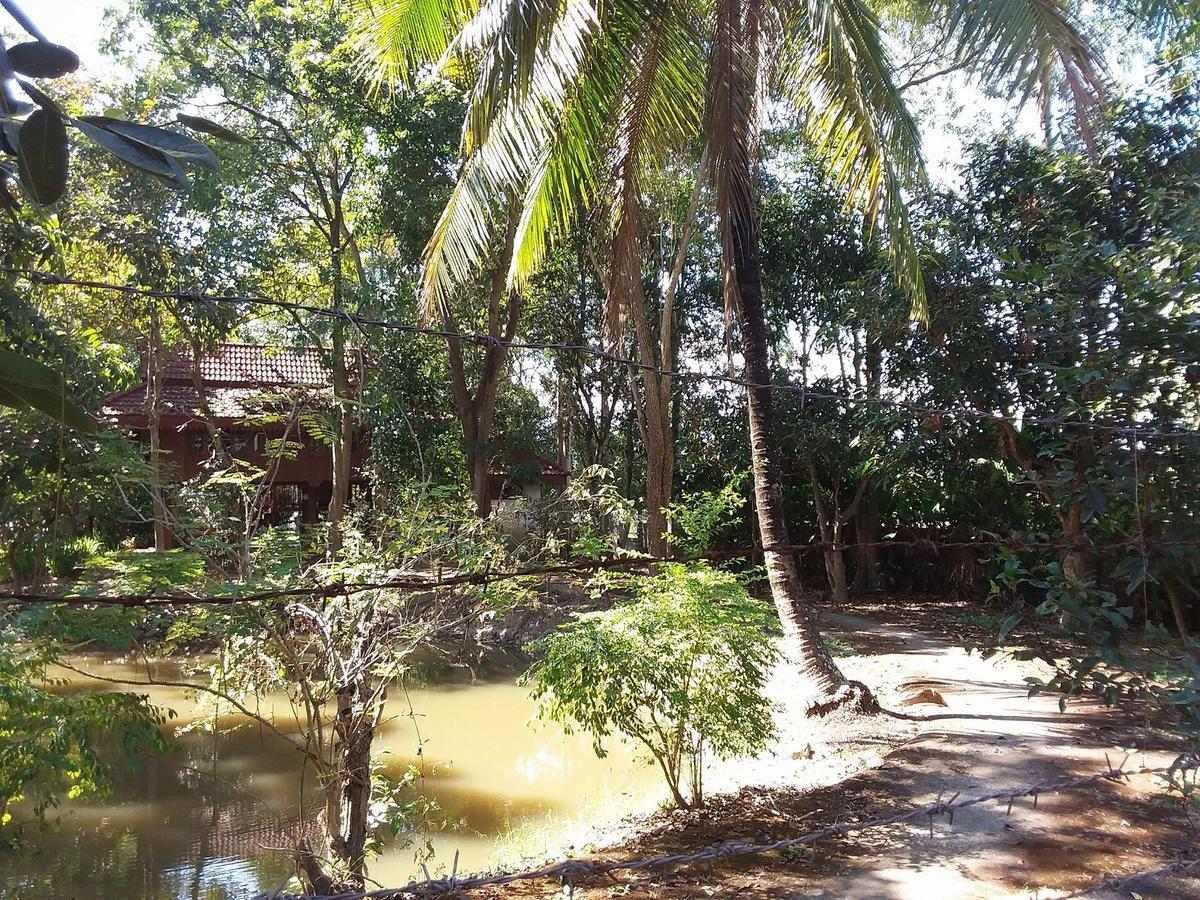 Your Home In Mae Rim Ban Muang Pha Экстерьер фото